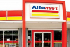Langsung Cair! Berikut Cara Mengajukan Pinjaman Online di Koperasi Alfamart Paling Mudah dan Praktis