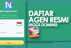 Download Tdomino Boxiang APK Versi Terbaru 2023, Alat Mitra Resmi Higgs Domino