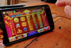 AMPUH! Jam Hoki Higgs Domino 24 Desember 2023 Paling Gacor, Mainkan Dapatkan Jackpot Keberuntungan
