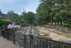 Alamat Lengkap dan Jam Operasional Cimory Riverside Puncak Terbaru 2023, Berwisata Sambil Menikmati Kuliner di Pinggir Sungai