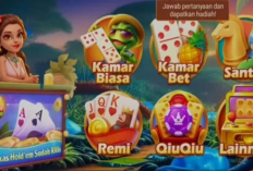 Kode Penukaran Domino Hari Ini, 31 Desember 2023: Klaim Segera dan Dapatkan Banyak Rewards Gratis