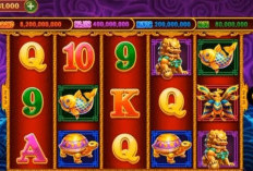 Paling Gacor Nih! Pola Room 5 Dragon Higgs Domino 13 Desember 2023, Bisa Dapatkan 3 Naga Hijau Berturut-turut