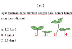 Contoh Soal Asah Terampil Petani Terbaru Untuk Tes CPNS Pilihan Ganda Beserta Kunci Jawabannya 