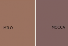 Komposisi Warna Mocca dan Milo, Buat Kaum Hawa Gak Perlu Pusing Lagi Milihnya!