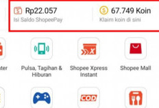 Cara Transfer Koin Shopee ke Akun Lain Mudah dan Praktis! Bisa Untuk Kado Angpao Jarak Jauh