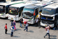 Mudik Gratis BRI 2024 Sudah Dibuka, Ada Ribuan Kuota Tersedia, Gercepin Sekarang!
