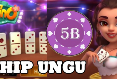 Cara Top Up Chip Ungu Higgs Domino Lewat DANA Terbaru 2024, Banyak Keuntungan!
