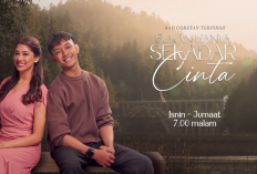 Nonton Drama Malaysia Bukan Hanya Sekadar Cinta (TV3) Full Episode 1-28 Sub Indo, Perjalanan Cinta Kamelia