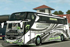 Download Mod Apk BUSSID Livery Full HD Desember 2023, Unlimited Money Bisa Main Keliling Kota Sepuasnya!