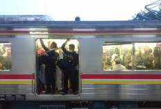 Cek Jadwal KRL Hari Ini Minggu 3 Maret 2024 Jabodetabek, Sempat Ada Pohon Tumbang di Stasiun Tanah Abang