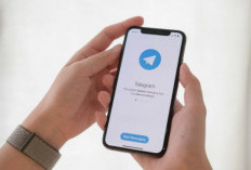 Rekomendasi Aplikasi dan Website Membuat Nokos Telegram Gratis yang Bisa Kamu Coba 