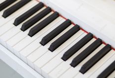 Kunci Keyboard Lagu Dangdut Menunggumu - Rhoma Irama dan Liriknya
