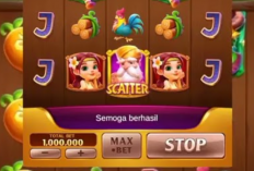 Jam Hoki Room Buto Ijo Terbaru Full Scatter Qiu Qiu Higgs Domino TopBos, Gacor Banget 