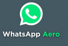 Cara Perbarui WA Aero Kadaluarsa ke Versi Terbaru 2024. Mudah Banget Caranya! Ikuti Petunjuknya Berikut