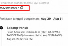 Paket Sedang Transit di TikTok Shop, Apa Artinya dan Berapa Lama? Jangan Panik! Lakukan Hal Berikut Ini