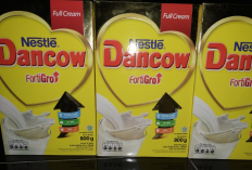 Harga Susu Dancow Fortigro Enriched Full Cream di Indomaret dan Alfamart Terbaru 2023, Sedia Semua Varian!