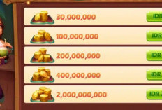 Top Up Codashop Higgs Domino Island Januari Tahun 2024, Murah Legal dan Terpercaya!