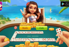 Download Domino Rp Versi Lama 1.53 Mod X8 Speeder APK , Banyak Diburu! Fitur Canggih Bisa Dapat Banyak Uang