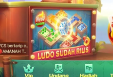 Gratis Tanpa Pajak! Tutorial Top Up Domino 3000 30M Paling Mudah Untuk Slotters Mania