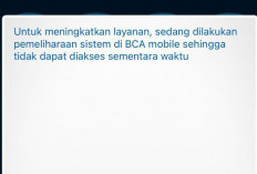 BCA Gangguan Hari Ini Sampai Transaksi Gagal Terus Kenapa Ya? Cek Penyebab Dan Cara Mengatasinya Di Sini