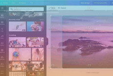 Link Download Canva Pro Mod APK Terbaru April 2024 Gratis Unlock Semua Tools Editing Ala Professional 