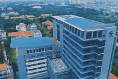 Rekomendasi Perguruan Tinggi Politeknik Terbaik 2023, Menggunakan Sistem Pembelajaran yang Lebih Spesifik