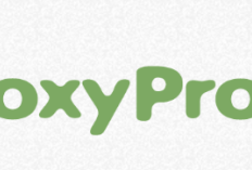 Kumpulan Proxy Video Viral 2025 Gratis untuk Android dan iOS, Dijamin Aman dan Tanpa Pemblokiran