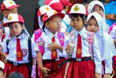 Contoh Soal Bahasa Indonesia Kelas 4 Kurikulum Merdeka Lengkap Dengan Pembahasannya