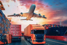 PT Meganusa Prima Logistik Ternyata Penipuan? Cek Faktanya Disini Langsung dari Pengguna!