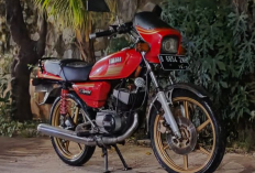 Perbedaan RX King dan RX Spesial yang Paling Mencolok, Lebih Baik Pilih Mana?