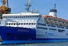 Jadwal KM Nggapulu Bulan Juli 2024 Rute Lengkap VOYAGE : Harga Tiket dan Tata Cara Membelinya