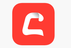 Apakah Cashzine APK Benar-Benar Membayar? Review Lengkap, Bukti Pembayaran Terbaru, dan Tips Penggunaan di Tahun 2025