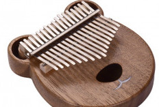 Mengenal Alat Musik Kalimba, Melantunkan Nada dengan Indah dan Menenangkan