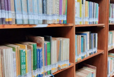 Cara Membuat ERD Perpustakaan Sekolah dan Kampus yang Sesuai Dengan Latar Belakang Kasusnya