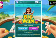 Download Topbos Higgs Domino RP APK Versi 5.30 + X8 Speeder Terbaru 2024 Unlimited Money, Akses Gratis Untuk Semua Room