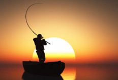 Kalender Mancing Weekend 16-17 Desember 2023, Siap-siap Sekarang Hasilnya Pasti Melimpah!