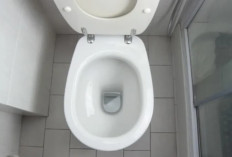 Nomor WA Jasa Sedot WC Area Kota Jakarta, Sediakan Layanan Lengkap dengan Harga Paling Murah