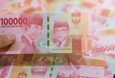 Daftar Penghasil Uang Selain Fizzo Novel Yang Bisa Buat Tambahan Cuan