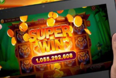 Jam Hoki Main Higgs Domino Hari Ini 4-5 Februari 2024, Auto Full JP Sekali Putaran!